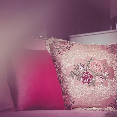 Phoenicia Comfort