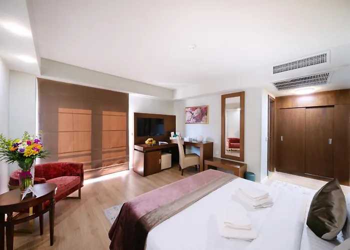 Phoenicia Comfort 布加勒斯特